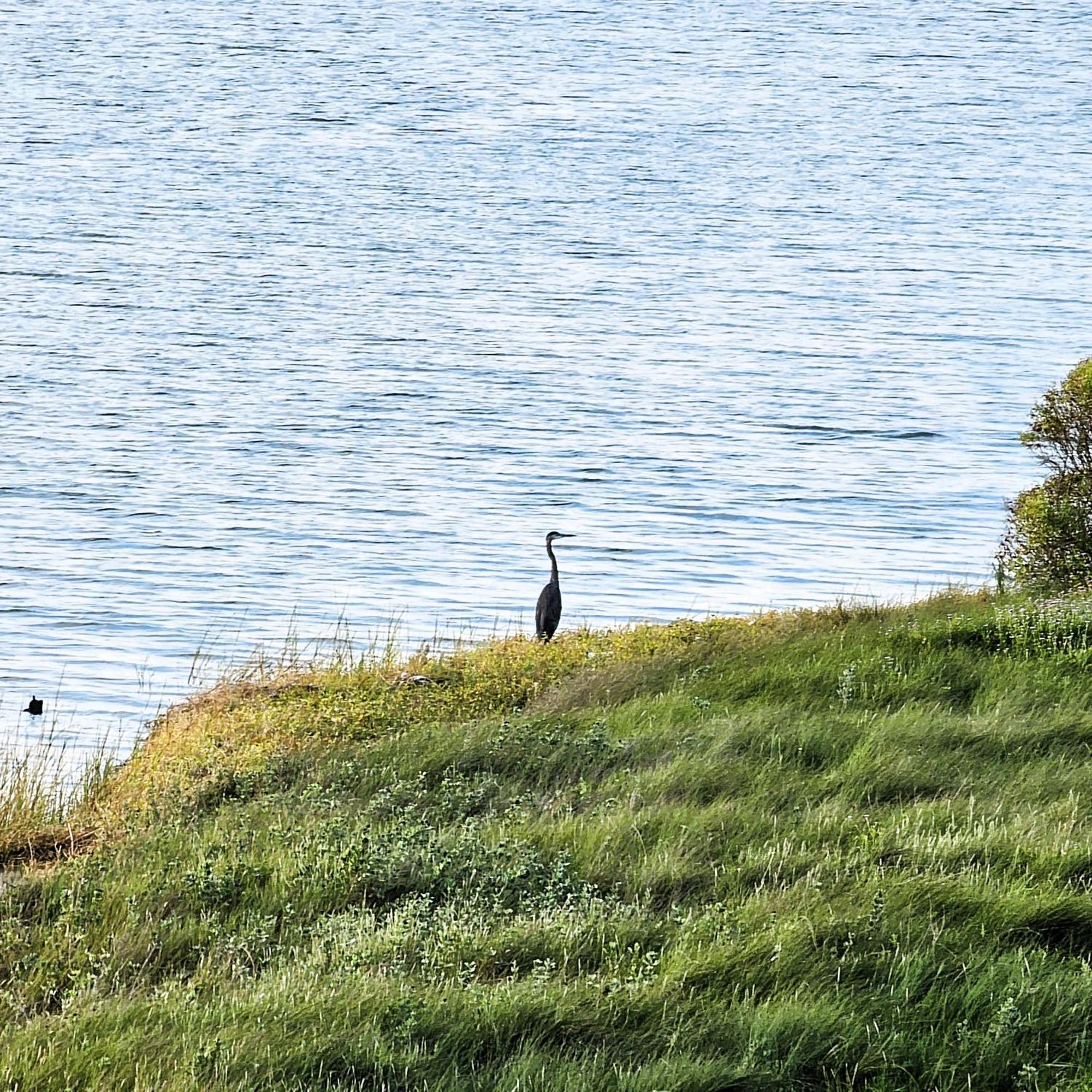 Pat's Perch * Rockport